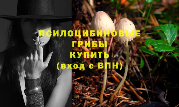 первитин Осташков