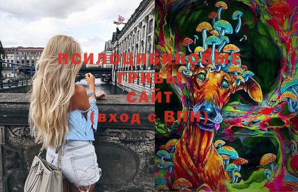 МДМА Абаза